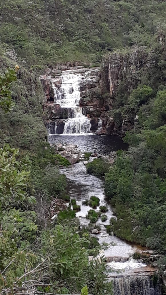 PROJETO "PASSOS PARA A EDUCAÇÃO" - PROGRAMA